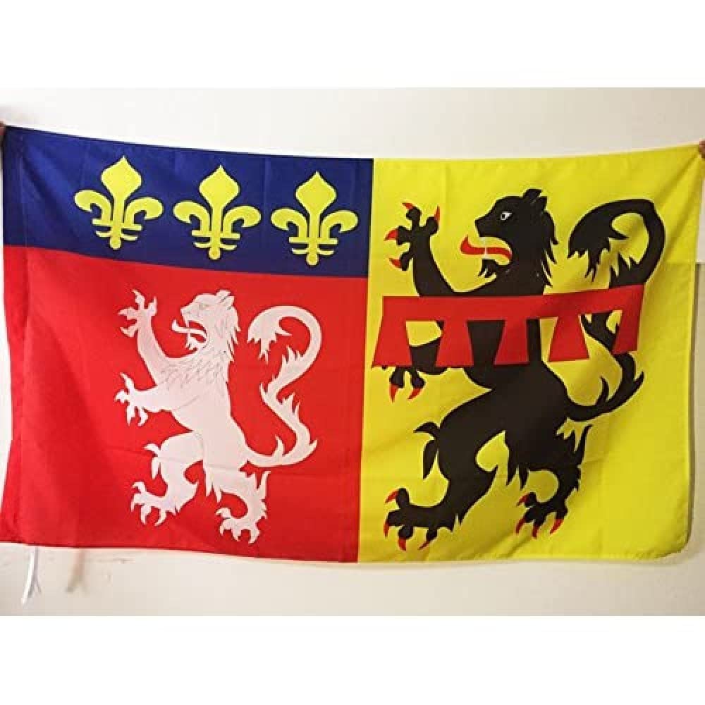 AZ FLAG - Rhône Flag - 3x5 Ft - French department Banner with Sleeve - 100% Polyester - Fade Resistant - Vivid Colors - 3' x 5' Feet - 150x90 Cm