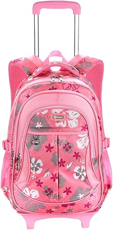 carry on with removable wheels