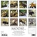 Moose 2018 Wall Calendar