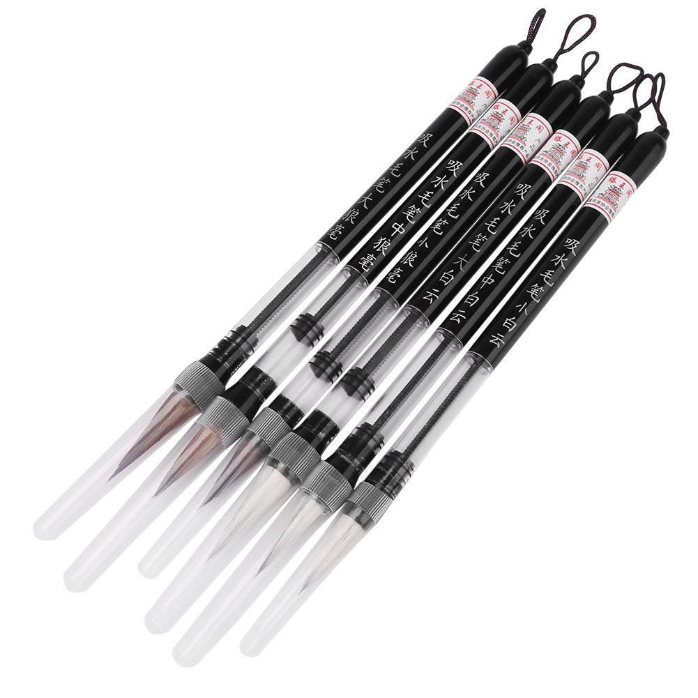 HEEPDD 6Pcs Water Brush Pen Set, Piston Water Ink Brush Chinese Calligraphy Pen for Beginner Practicing Painting Calligraphy