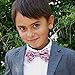 Peppercorn Kids Boys Bow Tie