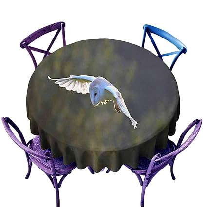 Acelik Tablecloth For Kids Childrens Barn Owl Bird Of Prey In