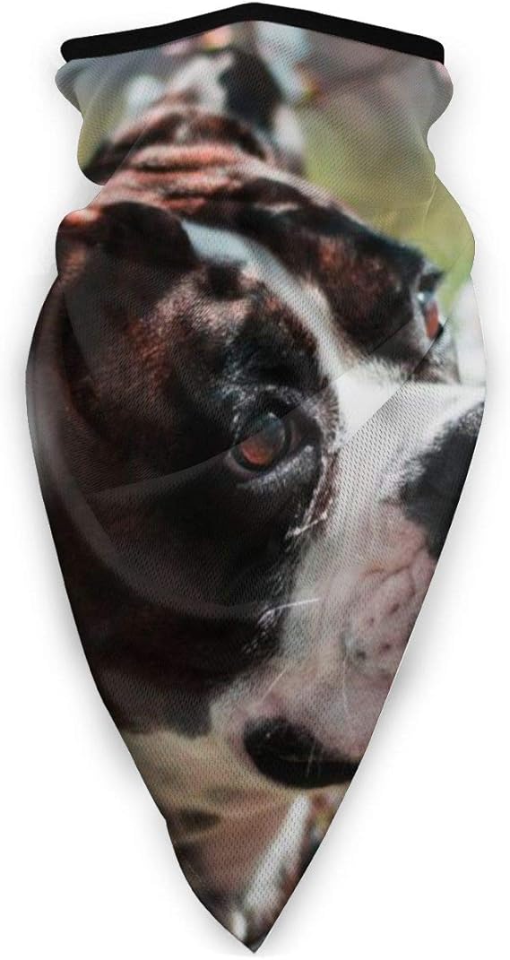 CoverPet Dog Face Mask Windproof Sports Mask Scarf Outdoor