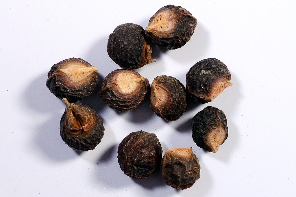 RK Seeds Soap Nut Seeds,Sapindus emarginatus known as Soapberries or
