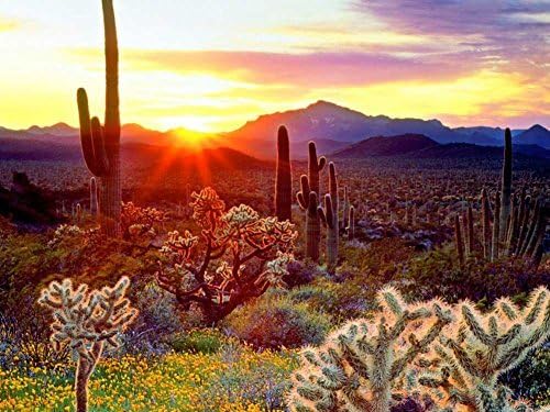 Arizona Sun Rise -Oil Painting On Canvas Modern Wall Art Pictures For Home Decoration Wooden Framed (12X16 Inch, Framed)