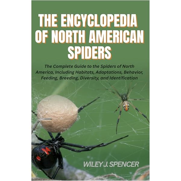 洋書「AMERICAN SPIDERSとその巣作り」H C.McCOOk著2分冊 Spiders of the United States & Canada: Easily Identify 158 Common