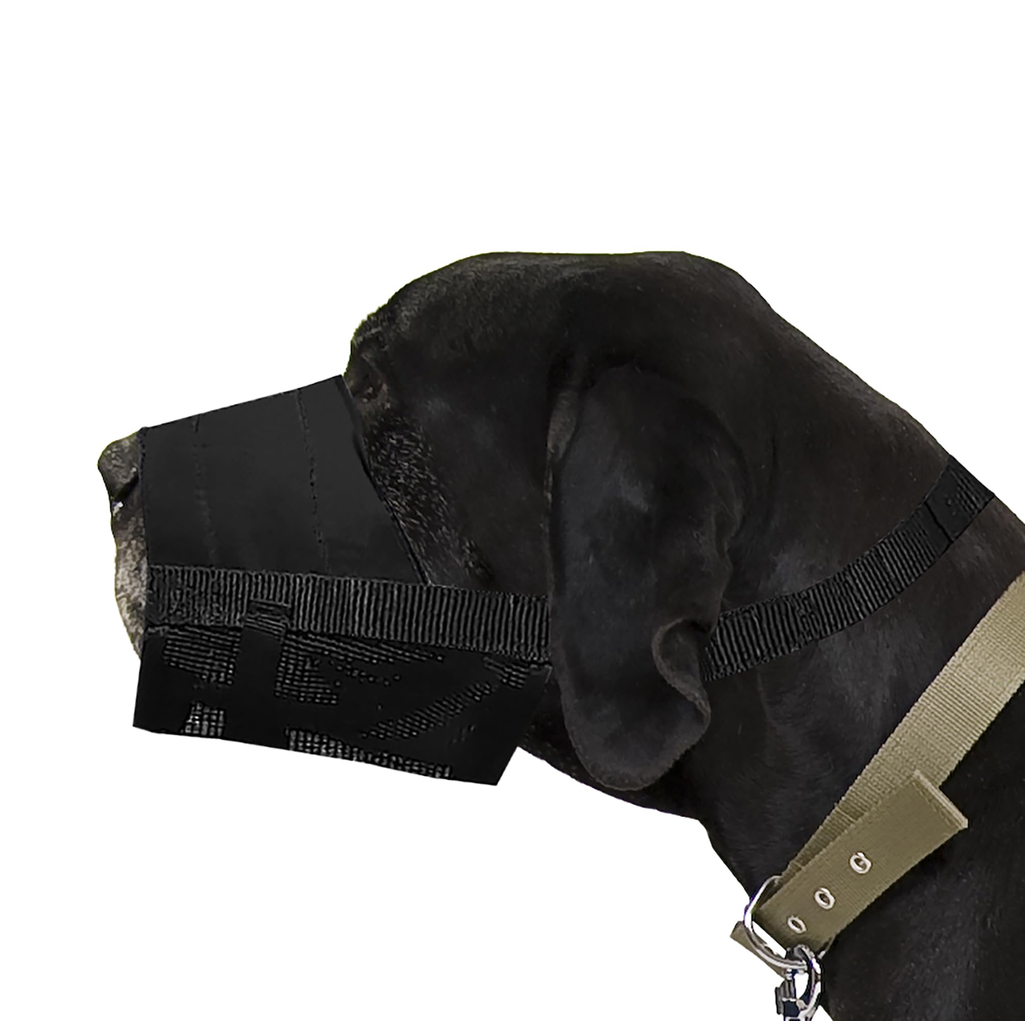 Dingo Waldemar Rutkowski Adjustable Nylon Muzzle Breathable Mesh for Large & Giant Breeds, Rottweiler Male, Great Dane, German Shepherd, XL Black 16777-2