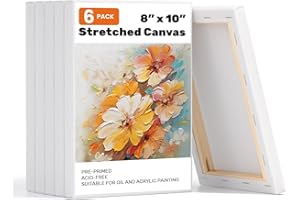 OUYANG 8 x10 Inch Art Stretched Canvas for Painting, 100% Cotton, Primed White Canvases for Painting, Stretched Canvas Art Supplies for Acrylic, Oil, Acrylic Pouring(Pack of 6)