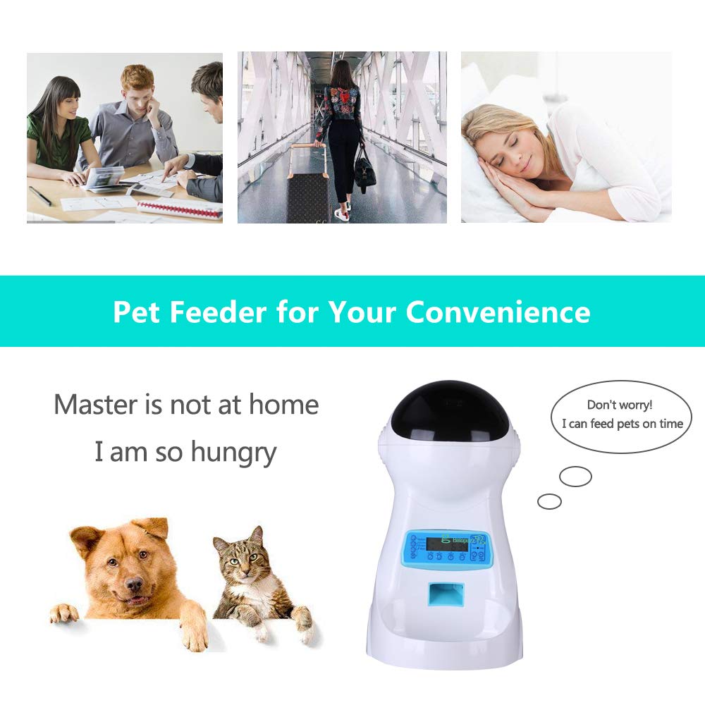 belopezz automatic feeder