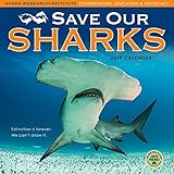 Save Our Sharks 2019 Wall Calendar