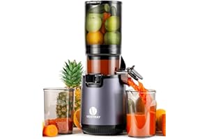 Ventray Slow Masticating Juicer, Cold Press Juicer Machines with 5.3" Extra Large Feed Chute Fit Whole Fruits Vegetables, High Juice Yield, Easy to Clean BPA Free 250W