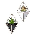 2 Pack Modern Decorative Geometric Wall Decor Containers Hanging Planter Vases for Succulent Plants/Air Plant/Faux Plant/Mini Cactus Plant/Artificial Plants and More (black and white)