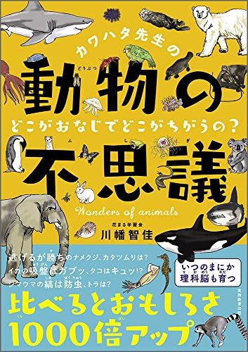 カワハタ先生の動物の不思議 どこがおなじでどこがちがうの 花まる学習会の本 Amazon Com Books