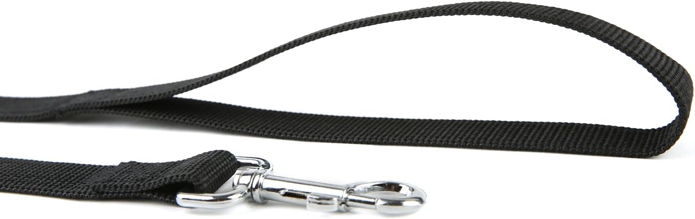 Taida Strong Durable Nylon Dog Training Leash, Traction Rope, 6 Feet Long, 1 Inch Wide, for Small and Medium Dog : Pet Supplies