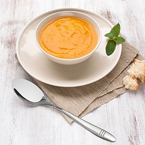 Morcte 12-Piece 18/10 Stainless Steel Dinner Spoon, 8.38-INCH