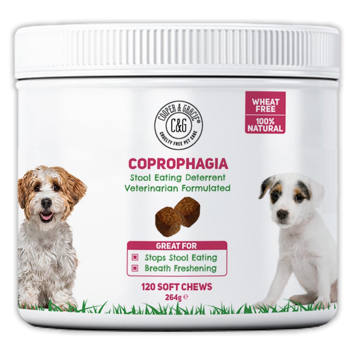 C&G Pets Natural Coprophagia Deterrent Soft Chews | Stool Eating Deterrent | Stool Tastes Foul | Help Neutralize Urine | Reduces Bad Breath | Veterinarian Formulated… (120 Chews)