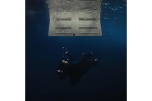 Hit Me Hard And Soft (Vinyl)