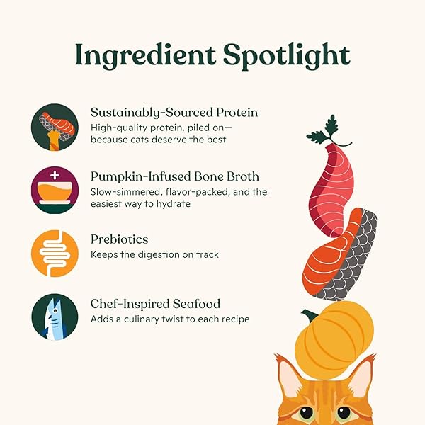 MADE BY NACHO FLAKED FILETS RECIPE IN BONE BROTH, GRAIN-FREE CHEF’S SELECTS WET FOOD FOR CATS BALANCED DIET IN NATURALLY HYDRATING PUMPKIN-INFUSED BROTH (3.0 OZ (PACK OF 12), FLAKED FISH VARIETY PACK)