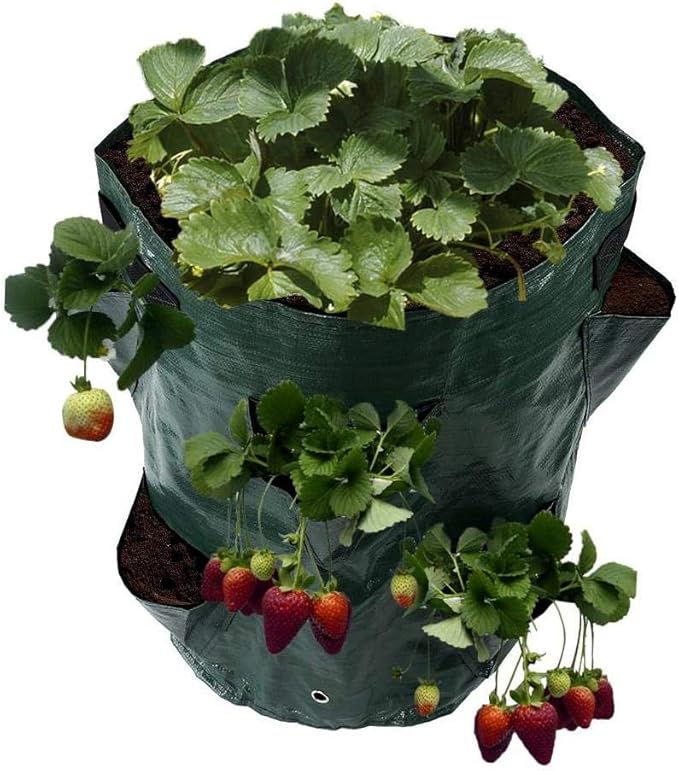 Foyar Strawberry Plant Bag 5/3 Gallon Growing Bags with 7/6 Pocket Grow Bag Breathable