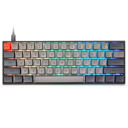 SK61 Black Wired 60% Keys NKRO Gateron Optical Axis RGB: Amazon.in