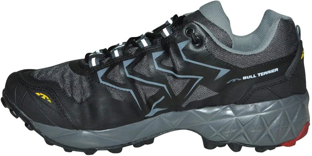 tenis bull terrier advance