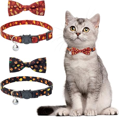 fall cat collars