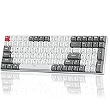 RK ROYAL KLUDGE RK100 Wireless Mechanical Keyboard