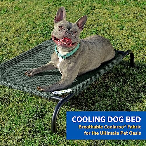 Coolaroo The Original Cooling Elevated Dog Bed, Indoor and Outdoor