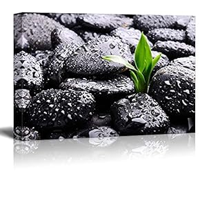 Rain Drops Over Black Rocks and a Little Green Plant