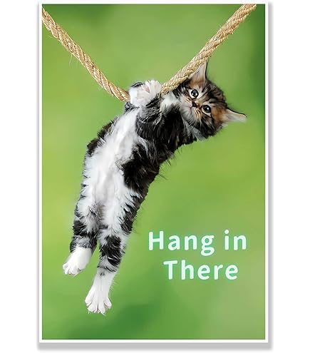 【CAT】　vintage poster il_1080xN.6896698777_gzv5.jpg