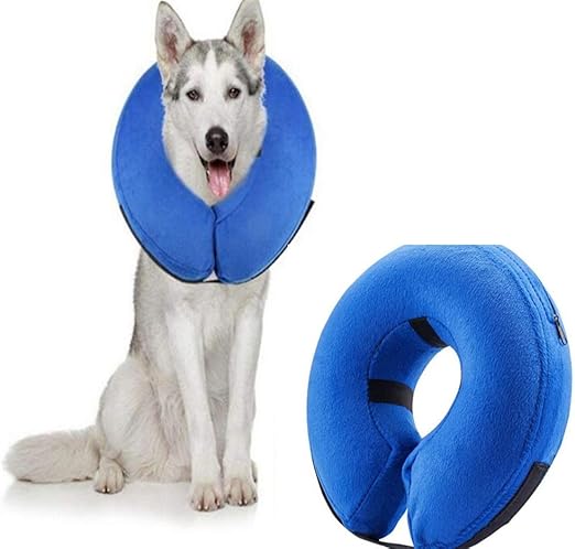 blow up dog collar amazon