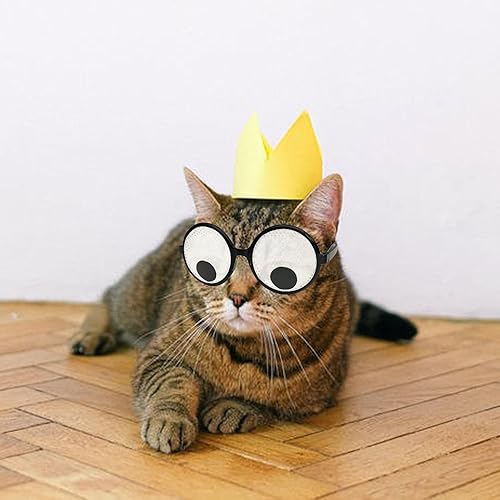 NAKIMO Googly Eyes Glasses Funny Costume Wiggle Eyes Novelty