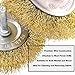 Swpeet 7Pcs Brass Coated Wire Brush Wheel & Cup Brush Set with 1/4-Inch Shank, 7 Sizes Coated Wire Drill Brush Set Perfect For Removal of Rust/Corrosion/Paint - Reduced Wire Breakage and Longer Life