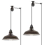 Farmhouse Brushed Bronze Plug in Pulley Barn