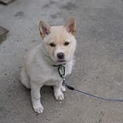 カスタマー画像