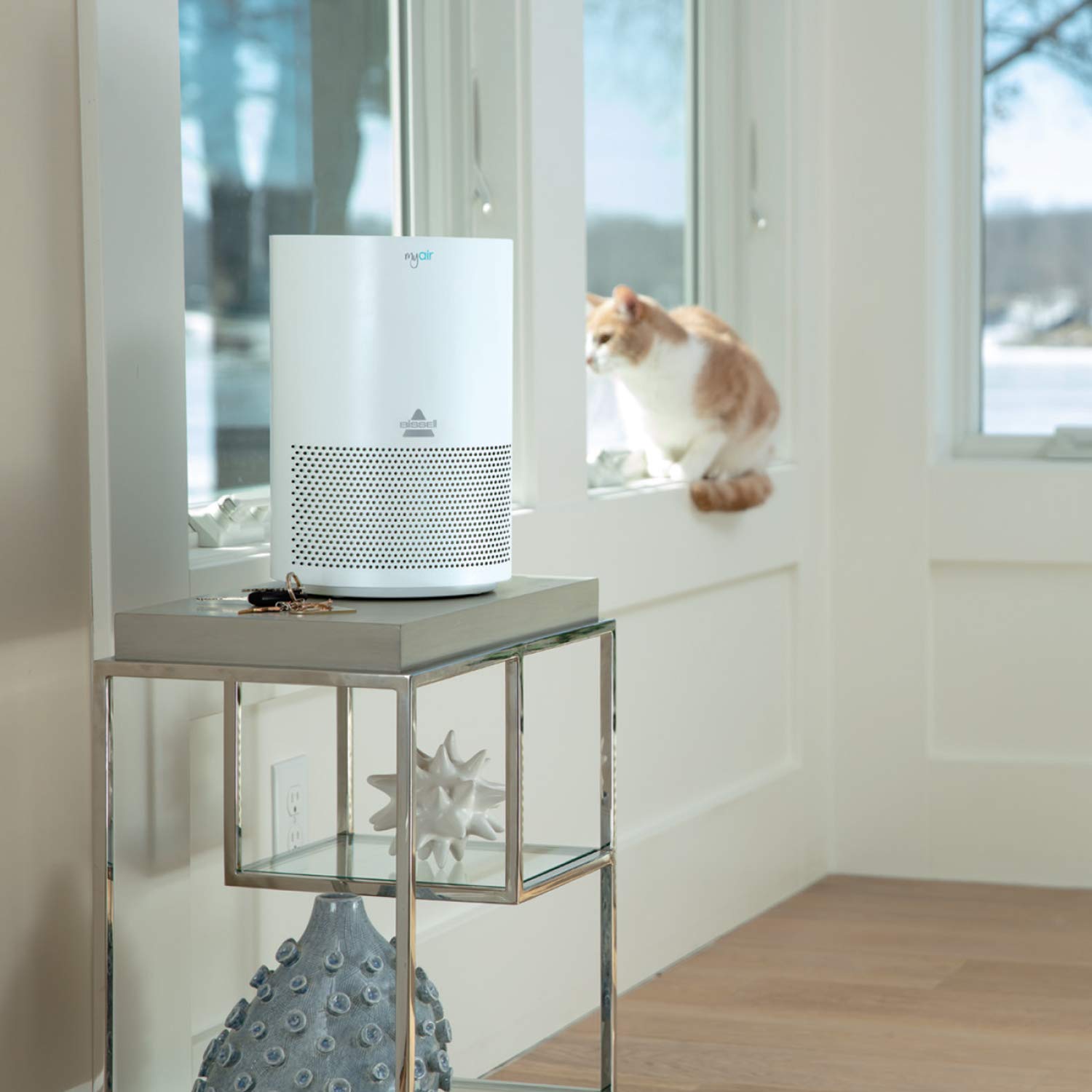 Bissell myair Air Purifier with High Efficiency and Carbon Filter for Small Room and Home, Quiet Air Cleaner for Allergens, Pets, Dust, Dander, Pollen, Smoke, Hair, Odors, Timer, 2780A