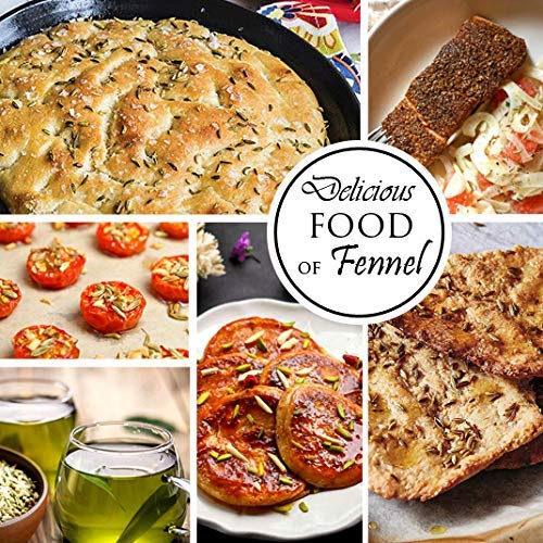 Buy FeedSeed Fresh / Natural Fennel Seeds ,Saunf ,Variyali , Whole