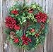 The Wreath Depot Jasper Winter Wreath, 24 Inches, Stunning Full Winter Wreath Design, Gift Box Included
