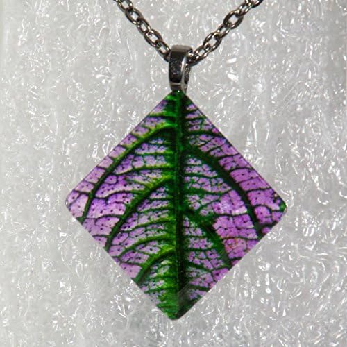 Coleus Leaf, Closeup, Diamond Pendant with Necklace