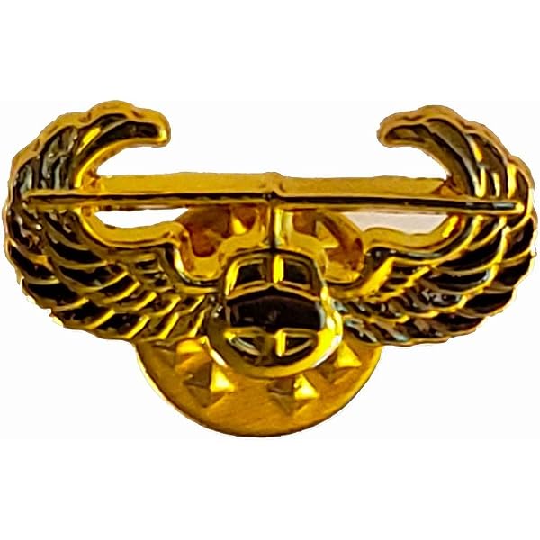 Amazon.com: DEURA US Army Air Assault GOLD Wings Pin Badge rear