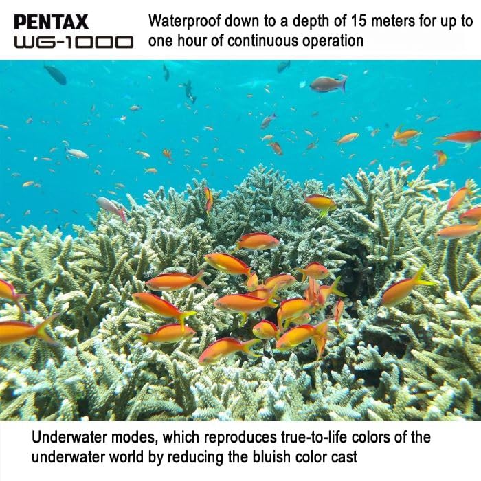 PENTAX WG-1000 Gray Waterproof Digital Compact Camera, Designed for Casual Outdoor and Underwater Photography, Waterproof to a Depth of 15 Meters, for up to one Hour of Continuous Operation