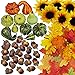 Supla 451 Pcs Fall Pumpkin Leaf Decoration Vase Filler Bowl Filler Mini Pumpkin Gourd Acorns Sunflower Heads Autumn Oak Leaf Maple Leaf for Wedding Thanksgiving Halloween Harvest Party Table Decor