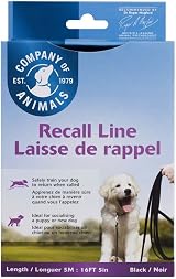 Company of Animals Recall Line 5m Dog Training Equipment view 6
