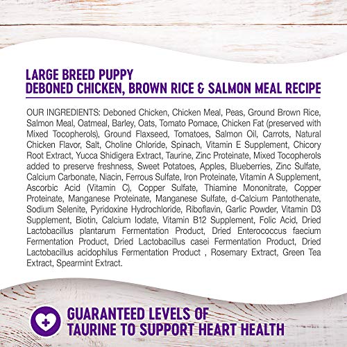 Wellness Complete Health Large Breed Dry Dog Puppy Food with Grains