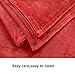 Shilucheng Luxury Fleece Blanket Super Soft and Warm Fuzzy Plush Lightweight King Couch Bed Blankets - Burgundy