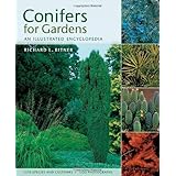 Conifers for Gardens: An Illustrated Encyclopedia by Richard L. Bitner (2007-06-01)