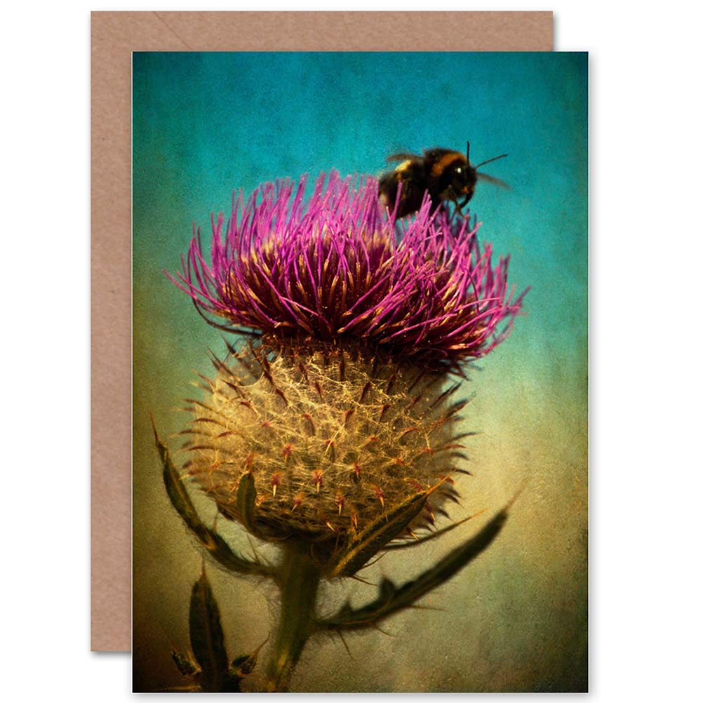Wee Blue Coo Thistle Edinburgh Scotland Bumble Bee Grunge Birthday Sealed Greeting Card Plus Envelope Blank inside