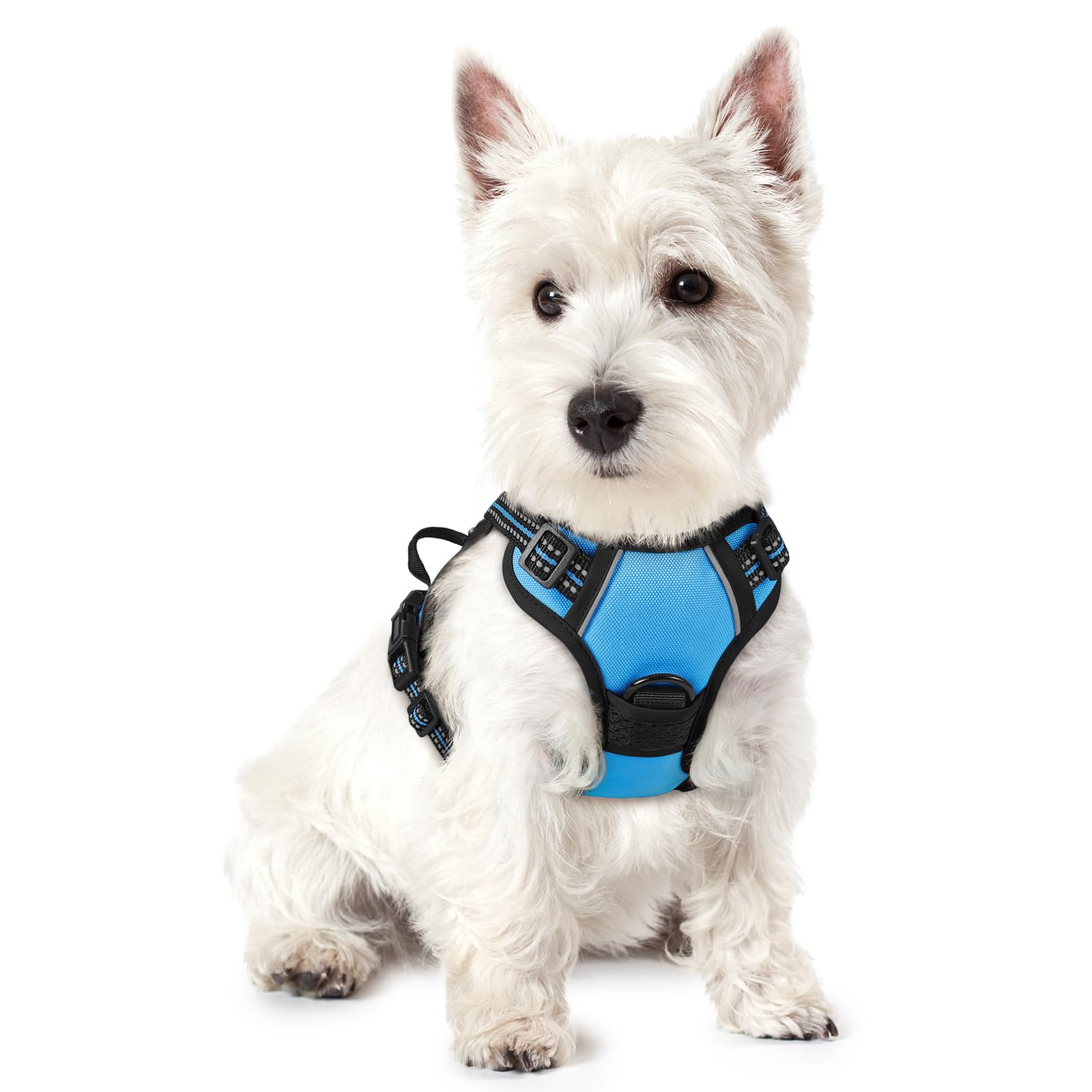 rabbitgoo Dog Harness Small Dog No Pull Pet Harness with 2 Leash Clips, Adjustable Soft Padded Pet Vest, Reflective No-Choke with Easy Control Handle for Training or Walking, Baby Blue, XS — image 1