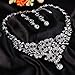 EVER FAITH Women's Crystal Gothic Skulls Stars Statement Necklace Earrings Set Clear Silver-Tone