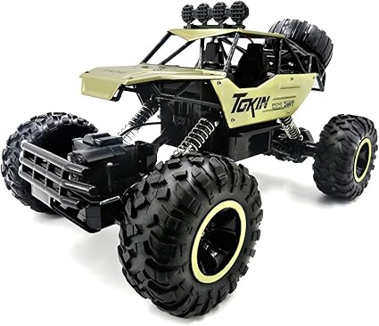 flytec rc car